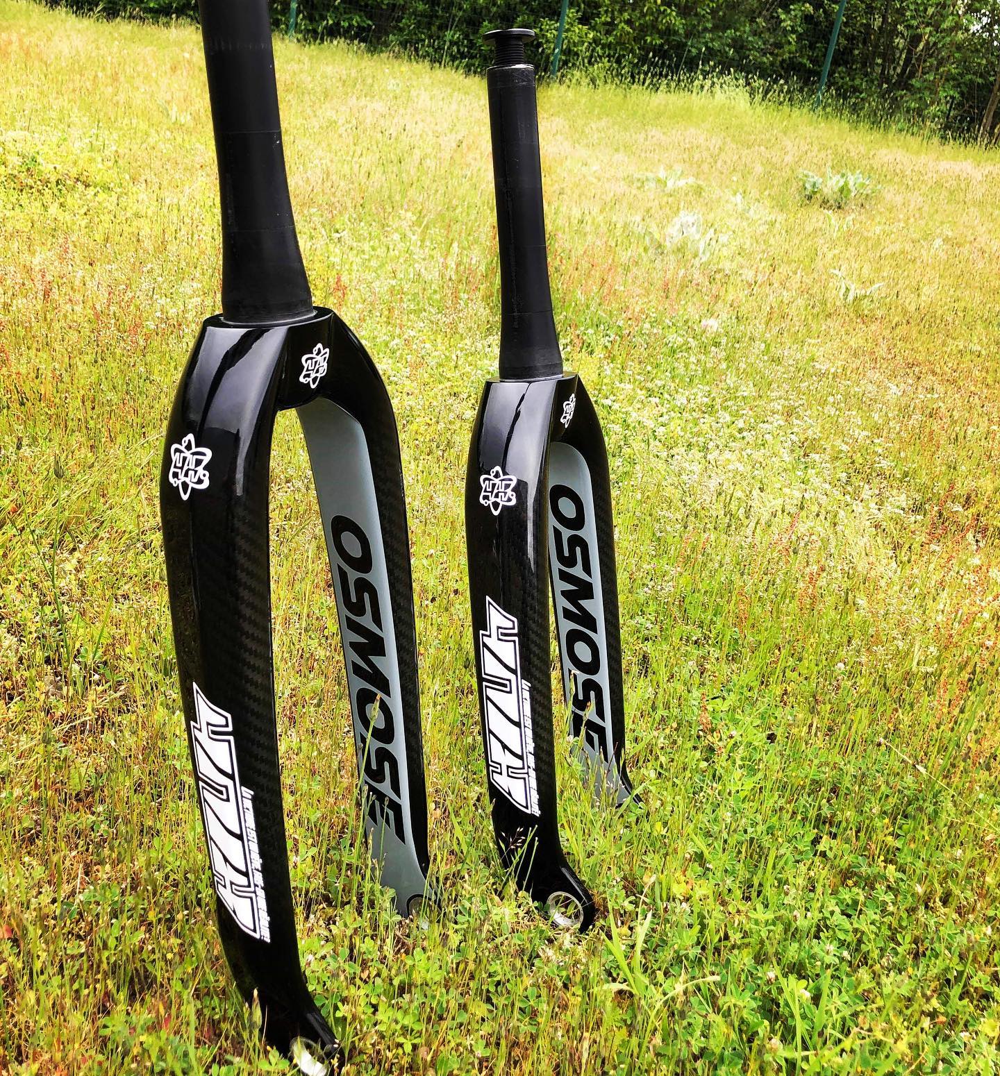 91025550_2953786901354288_2633807987541540864_n